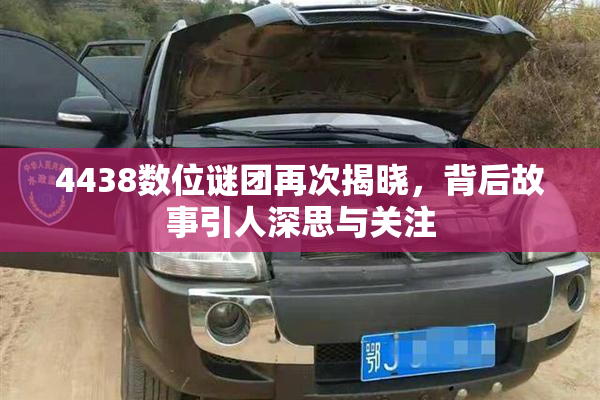 4438数位谜团再次揭晓，背后故事引人深思与关注