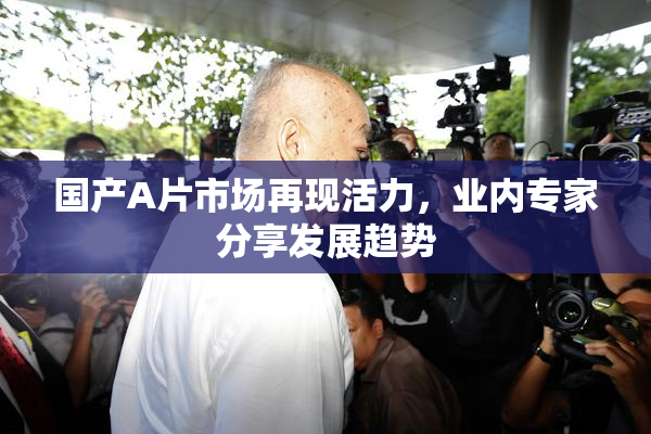 国产A片市场再现活力，业内专家分享发展趋势