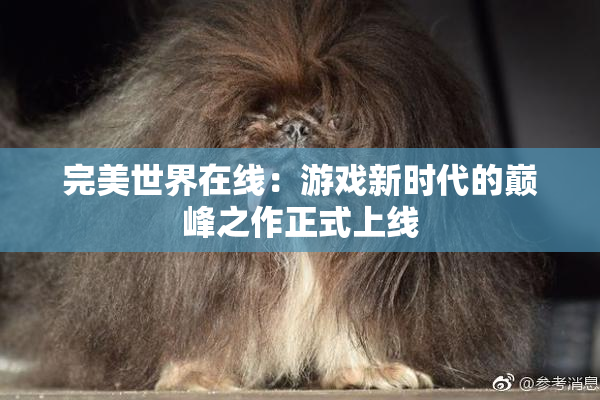 完美世界在线：游戏新时代的巅峰之作正式上线