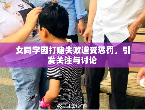 女同学因打赌失败遭受惩罚，引发关注与讨论