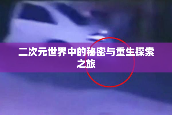 二次元世界中的秘密与重生探索之旅