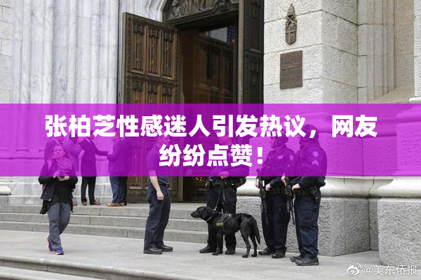 张柏芝性感迷人引发热议，网友纷纷点赞！
