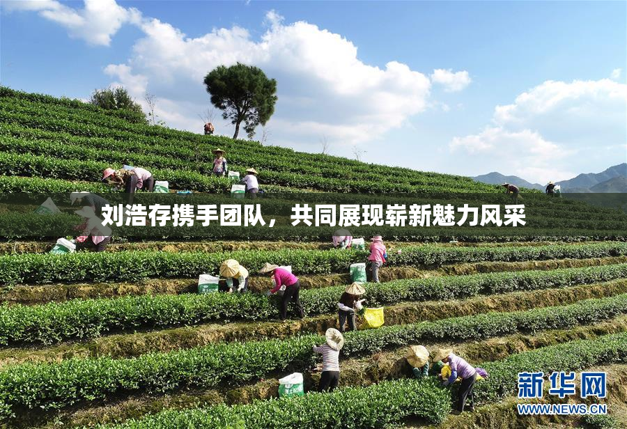 刘浩存携手团队，共同展现崭新魅力风采