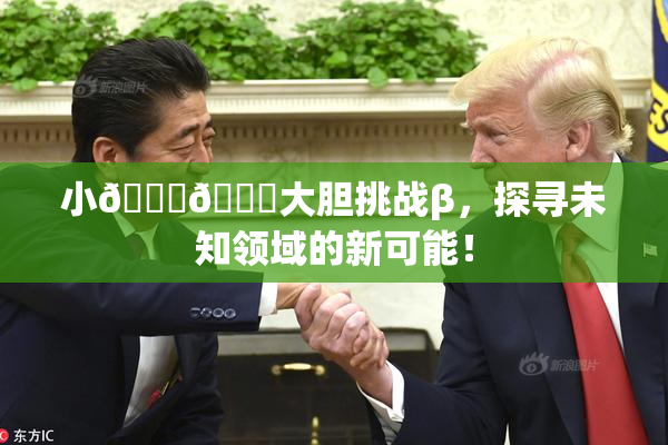 小🐔🐔大胆挑战β，探寻未知领域的新可能！