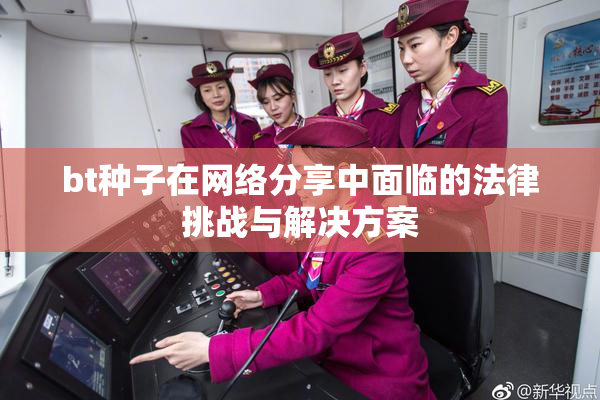 bt种子在网络分享中面临的法律挑战与解决方案