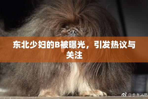 东北少妇的B被曝光，引发热议与关注