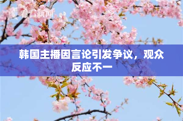 韩国主播因言论引发争议，观众反应不一