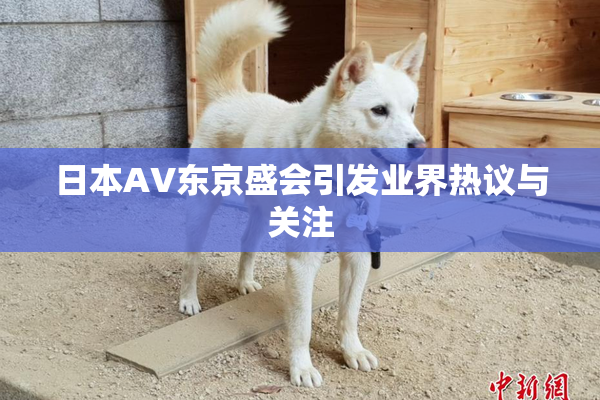 日本AV东京盛会引发业界热议与关注