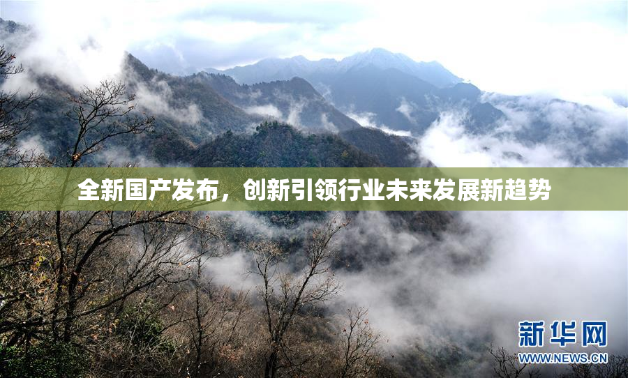 全新国产发布，创新引领行业未来发展新趋势