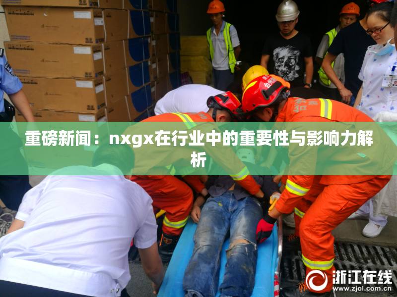 重磅新闻：nxgx在行业中的重要性与影响力解析