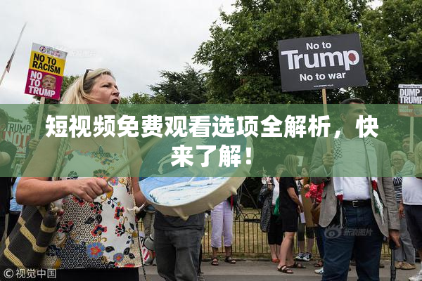 短视频免费观看选项全解析，快来了解！
