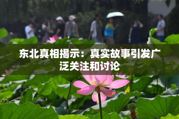 东北真相揭示：真实故事引发广泛关注和讨论