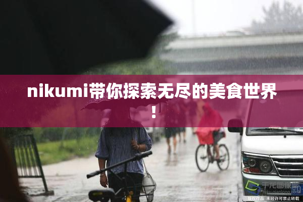 nikumi带你探索无尽的美食世界！