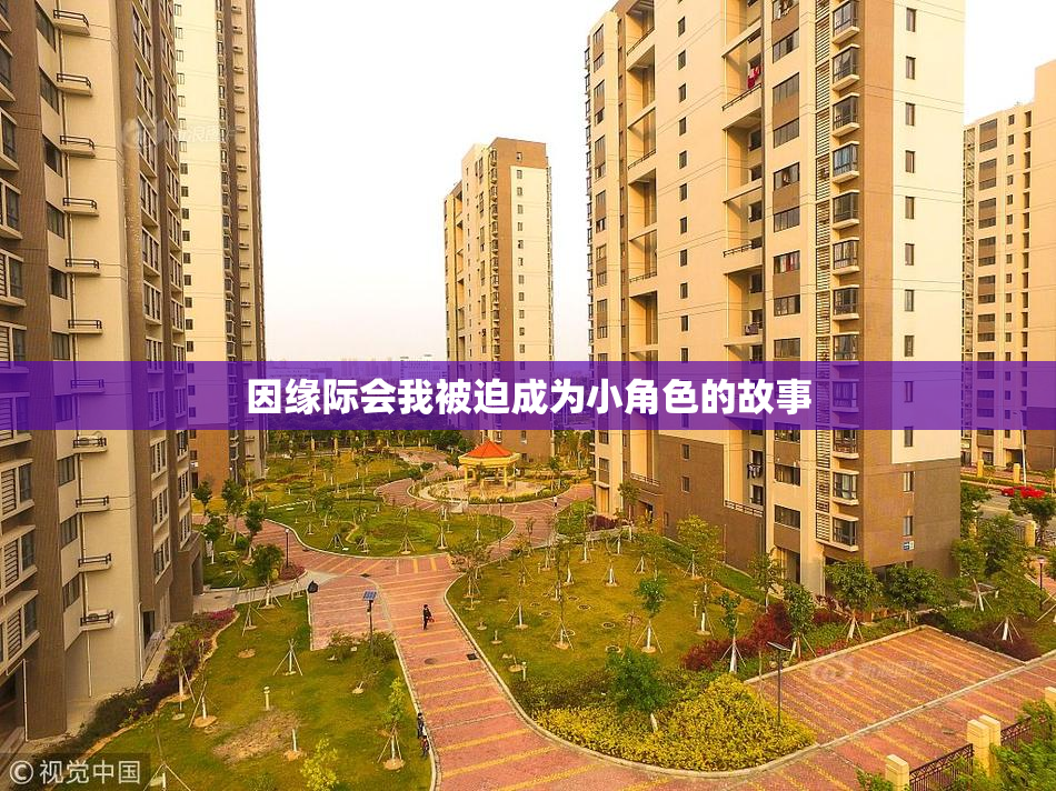 因缘际会我被迫成为小角色的故事