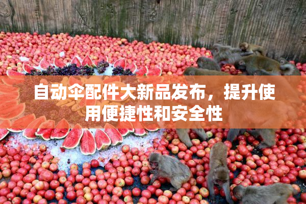 自动伞配件大新品发布，提升使用便捷性和安全性
