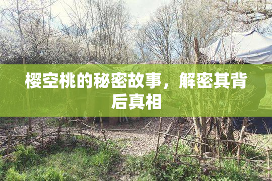 樱空桃的秘密故事，解密其背后真相