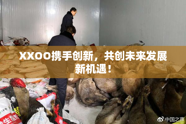 XXOO携手创新，共创未来发展新机遇！