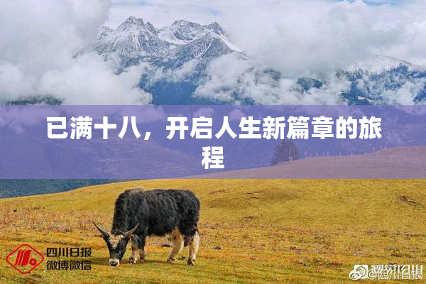 已满十八，开启人生新篇章的旅程
