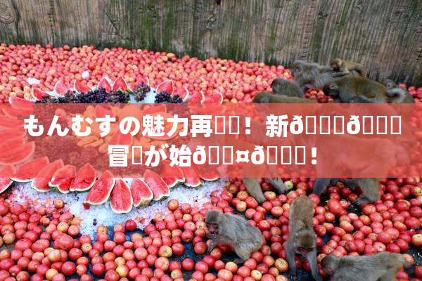 もんむすの魅力再発見！新👅🍑冒険が始🖤🌃！