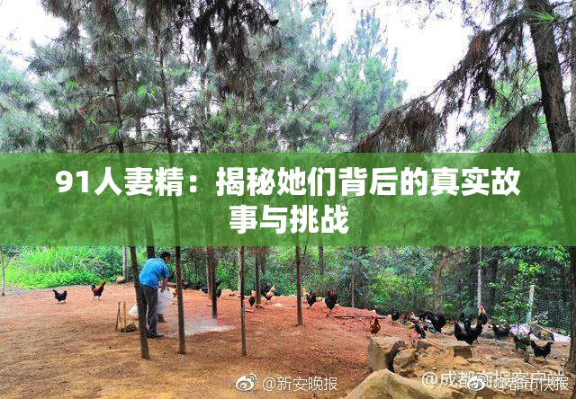 91人妻精：揭秘她们背后的真实故事与挑战