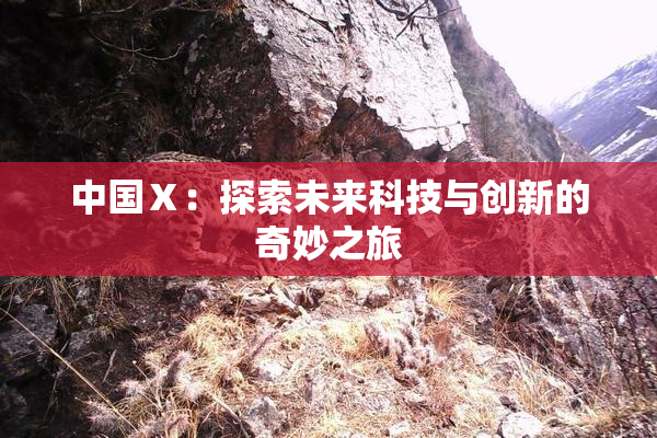 中国Ⅹ：探索未来科技与创新的奇妙之旅