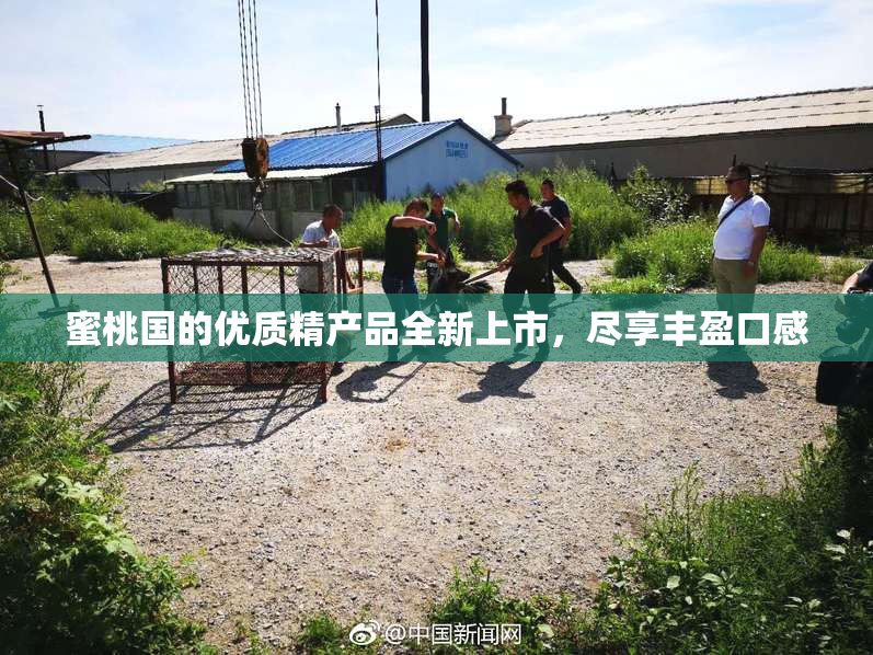 蜜桃国的优质精产品全新上市，尽享丰盈口感