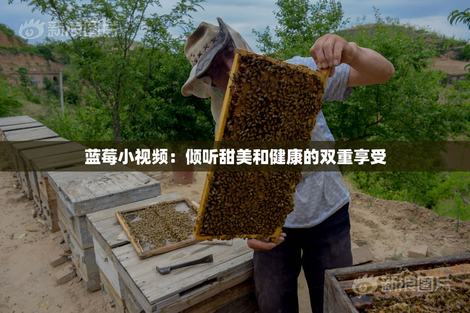 蓝莓小视频：倾听甜美和健康的双重享受