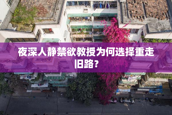 夜深人静禁欲教授为何选择重走旧路？
