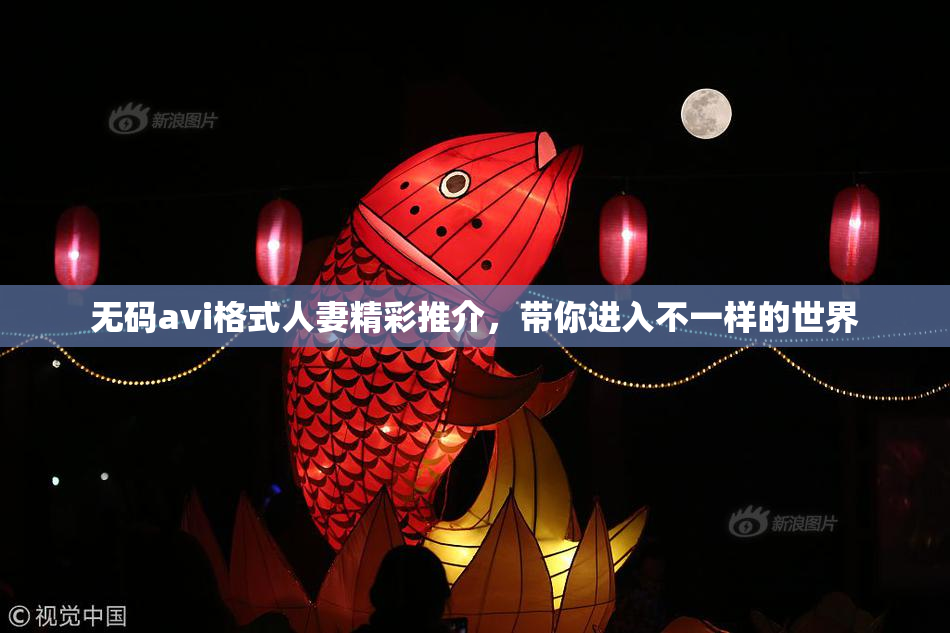 无码avi格式人妻精彩推介，带你进入不一样的世界