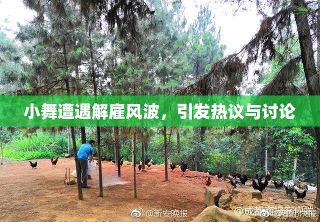 小舞遭遇解雇风波，引发热议与讨论