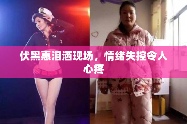 伏黑惠泪洒现场，情绪失控令人心疼