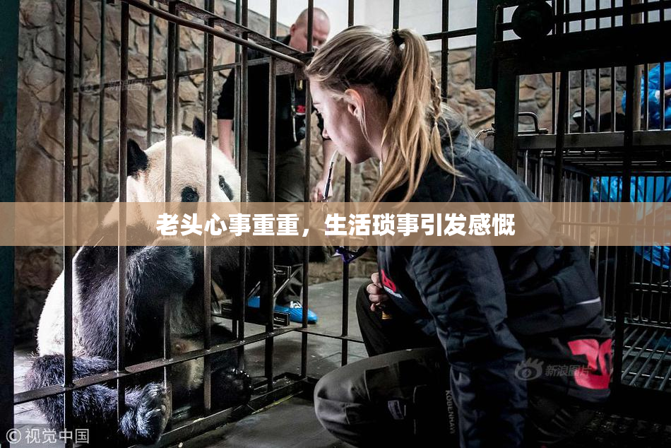 老头心事重重，生活琐事引发感慨