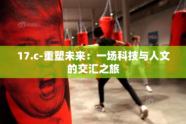 17.c-重塑未来：一场科技与人文的交汇之旅