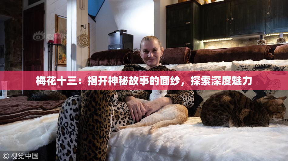 梅花十三：揭开神秘故事的面纱，探索深度魅力