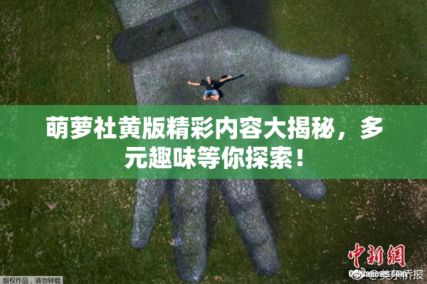 萌萝社黄版精彩内容大揭秘，多元趣味等你探索！