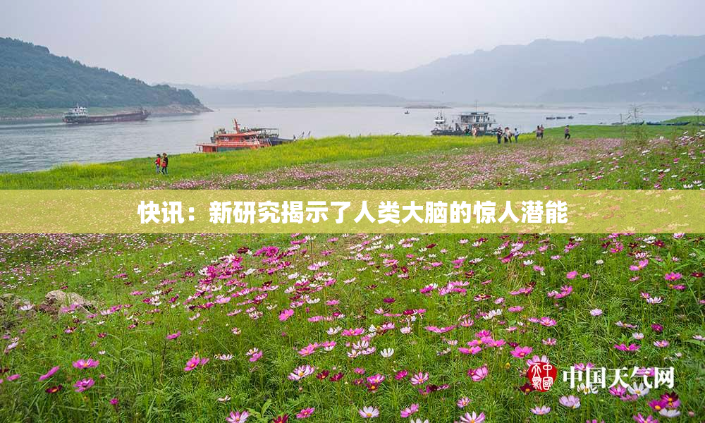 快讯：新研究揭示了人类大脑的惊人潜能