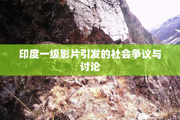 印度一级影片引发的社会争议与讨论