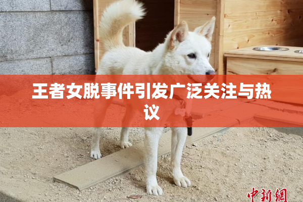 王者女脱事件引发广泛关注与热议