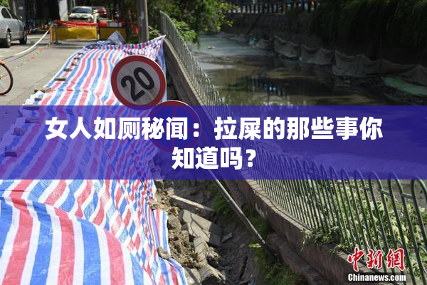 女人如厕秘闻：拉屎的那些事你知道吗？