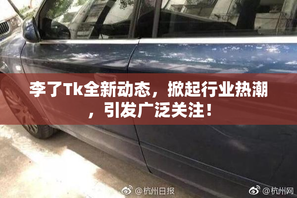 李了Tk全新动态，掀起行业热潮，引发广泛关注！