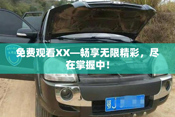 免费观看XX—畅享无限精彩，尽在掌握中！