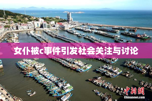 女仆被c事件引发社会关注与讨论