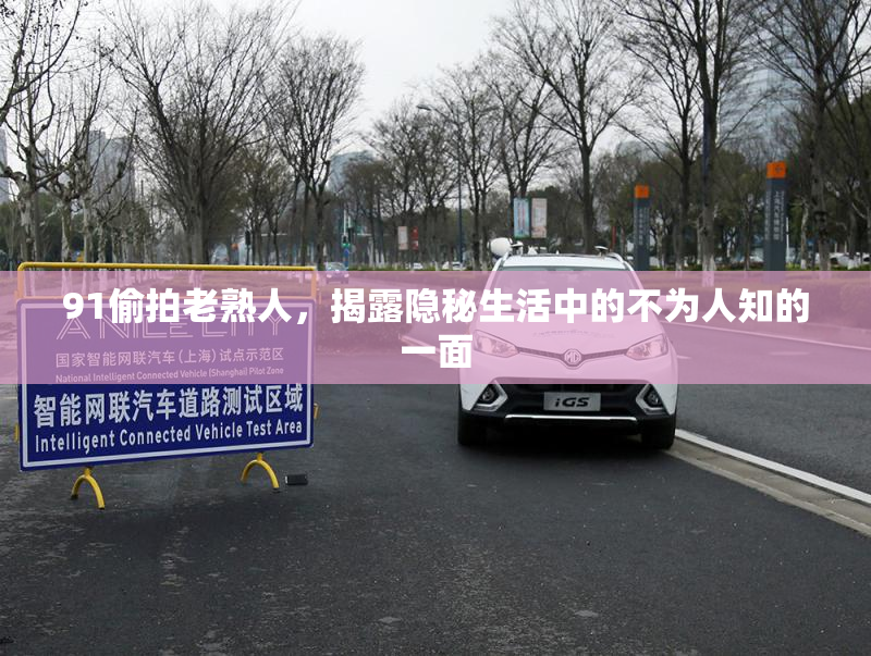 91偷拍老熟人，揭露隐秘生活中的不为人知的一面