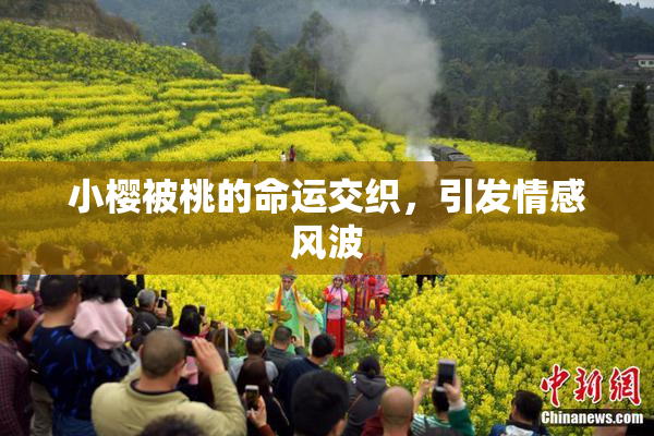 小樱被桃的命运交织，引发情感风波