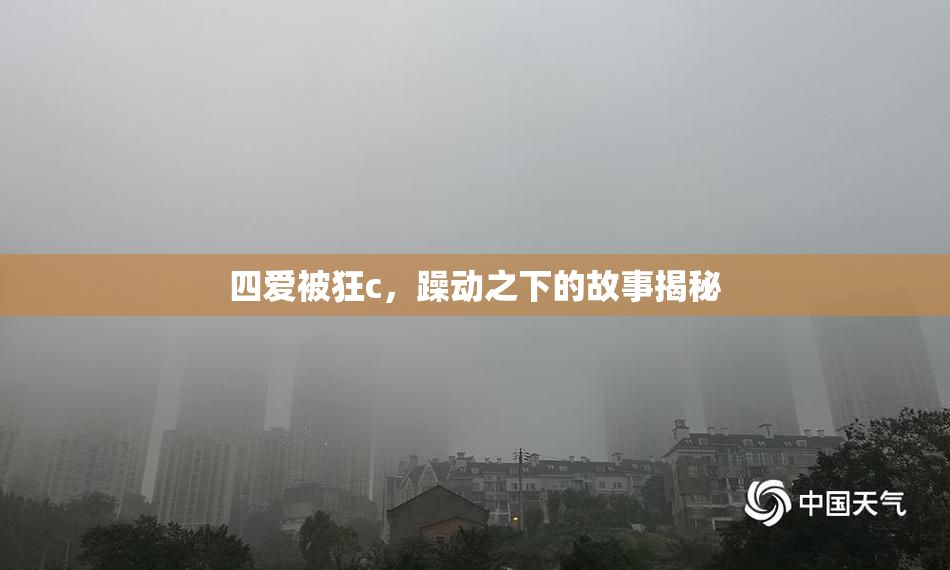 四爱被狂c，躁动之下的故事揭秘