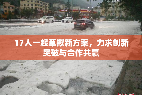 17人一起草拟新方案，力求创新突破与合作共赢