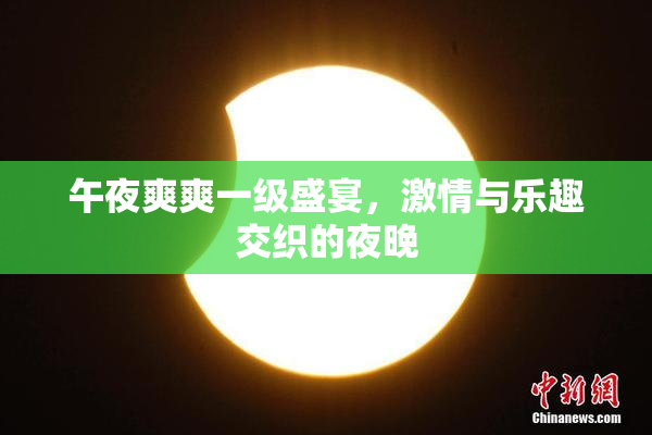 午夜爽爽一级盛宴，激情与乐趣交织的夜晚