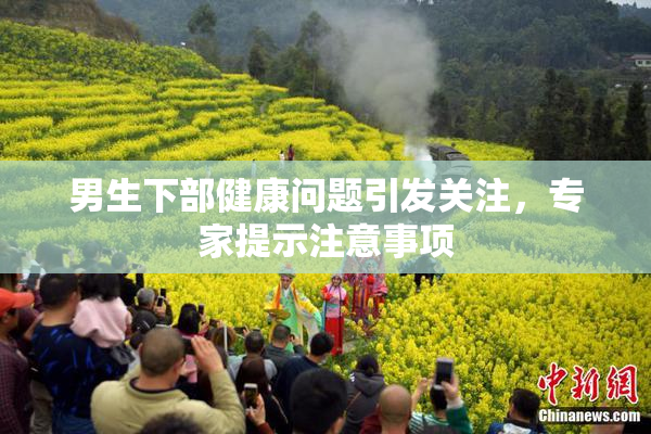 男生下部健康问题引发关注，专家提示注意事项