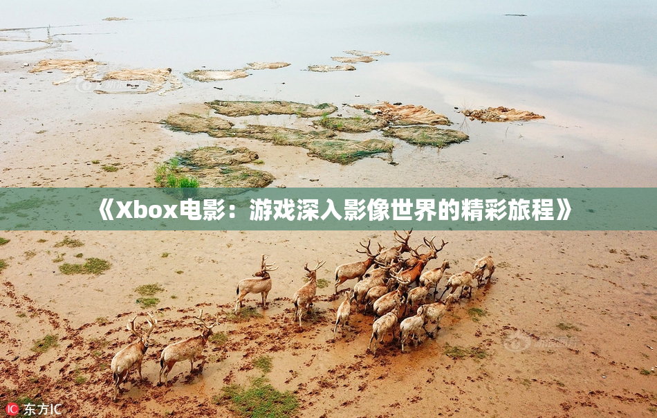 《Xbox电影：游戏深入影像世界的精彩旅程》