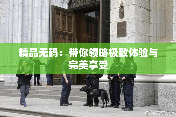 精品无码：带你领略极致体验与完美享受